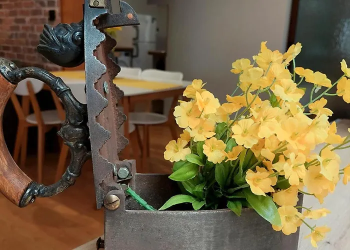 Apartment Old-timer *